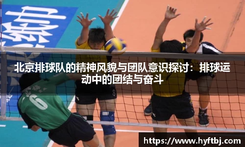 bsports官网入口