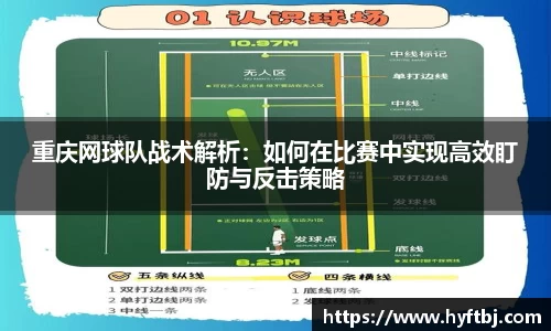 bsports官网入口